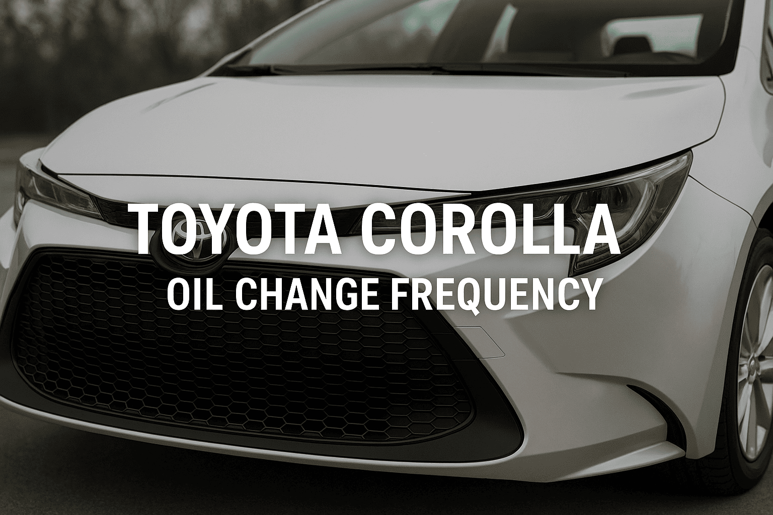 toyota-corolla-oil