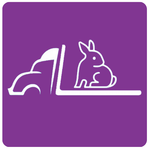 fleet-rabbit